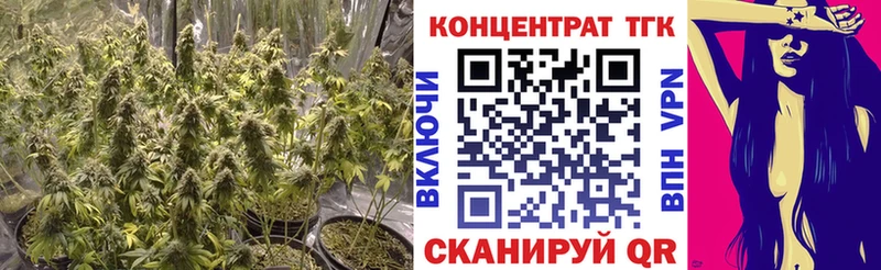как найти закладки  Краснослободск  ТГК жижа 